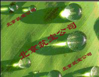 Ƽǽˮĩ