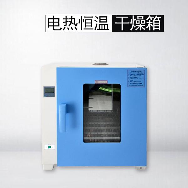 电热恒温干燥箱 电热恒温干燥箱
