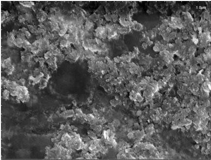 Ƭ(NS-BN)