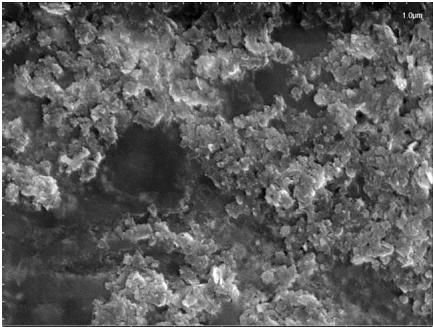 Ƭ(NS-BN)