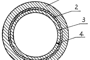 ˫Ϲ