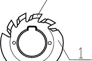 γ