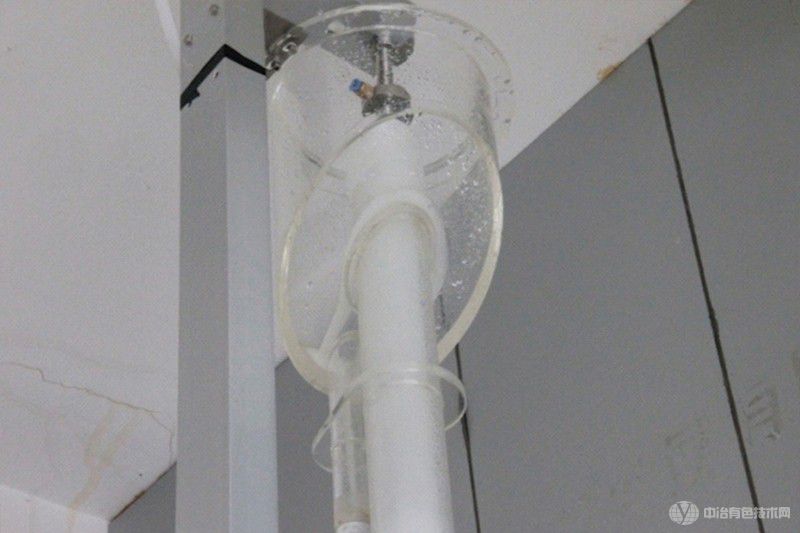 鸡ѡ