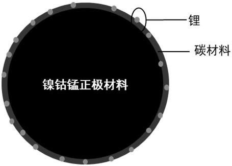 ϡƱӵ