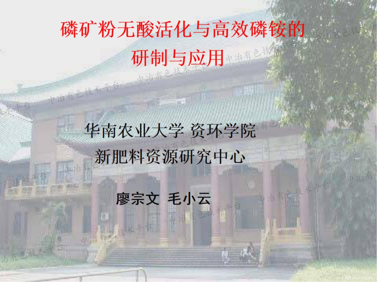 ׿Ч淋Ӧ