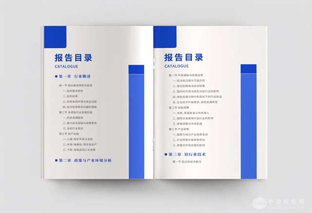 Ǧҵչ棨2025ذ