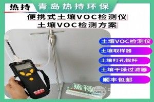 ppbRAE 3000+ VOC